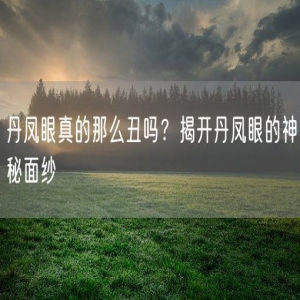 丹凤眼真的那么丑吗？揭开丹凤眼的神秘面纱
