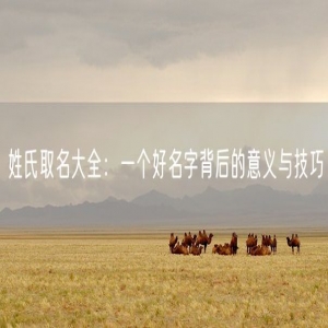 姓氏取名大全：一个好名字背后的意义与技巧