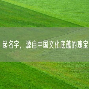 起名字，源自中国文化底蕴的瑰宝