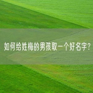 如何给姓梅的男孩取一个好名字？