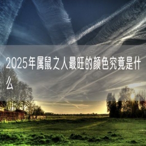 2025年属鼠之人最旺的颜色究竟是什么
