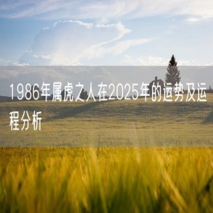 1986年属虎之人在2025年的运势及运程分析