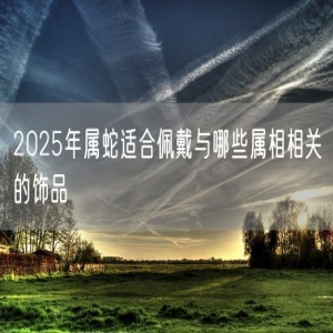 2025年属蛇适合佩戴与哪些属相相关的饰品