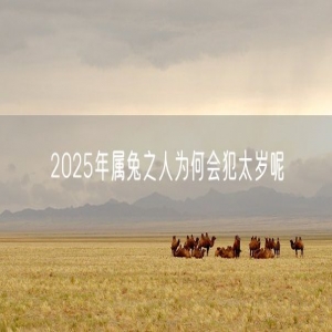 2025年属兔之人为何会犯太岁呢