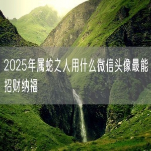 2025年属蛇之人用什么微信头像最能招财纳福