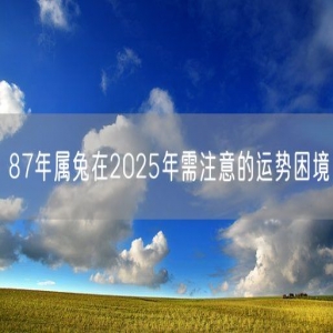 87年属兔在2025年需注意的运势困境