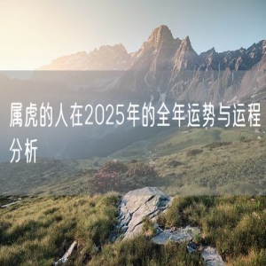 属虎的人在2025年的全年运势与运程分析