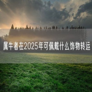 属牛者在2025年可佩戴什么饰物转运