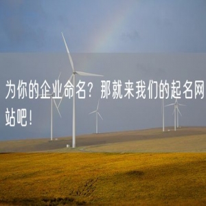 为你的企业命名？那就来我们的起名网站吧！