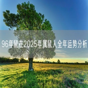 96年鼠在2025年属鼠人全年运势分析