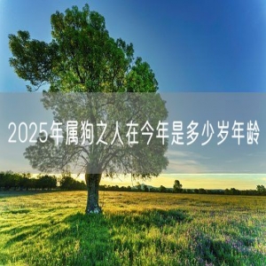 2025年属狗之人在今年是多少岁年龄