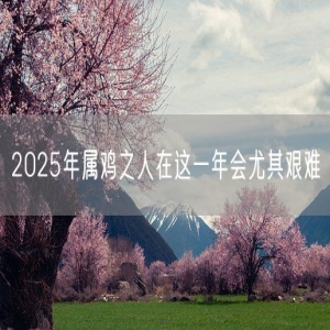 2025年属鸡之人在这一年会尤其艰难