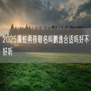 2025属蛇男孩取名叫鹏逸合适吗好不好听