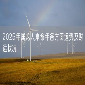 2025年属龙人本命年各方面运势及财运状况