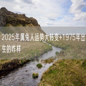 2025年属兔人运势大转变+1975年出生的咋样