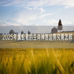 2025年属蛇者的生肖神煞运势究竟怎样
