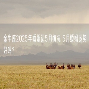 金牛座2025年婚姻运5月情况 5月婚姻运势好吗？