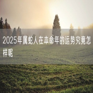 2025年属蛇人在本命年的运势究竟怎样呢