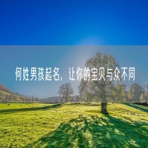 何姓男孩起名，让你的宝贝与众不同