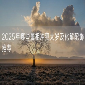 2025年哪些属相冲犯太岁及化解配饰推荐