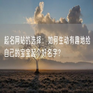 起名网站的选择：如何生动有趣地给自己的宝宝起个好名字？