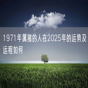 1971年属猪的人在2025年的运势及运程如何