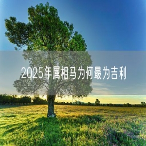 2025年属相马为何最为吉利