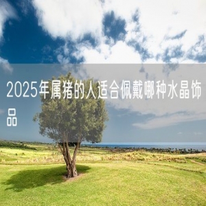2025年属猪的人适合佩戴哪种水晶饰品