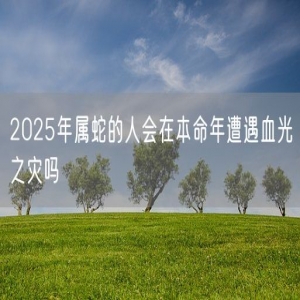 2025年属蛇的人会在本命年遭遇血光之灾吗