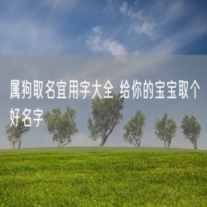 属狗取名宜用字大全 给你的宝宝取个好名字
