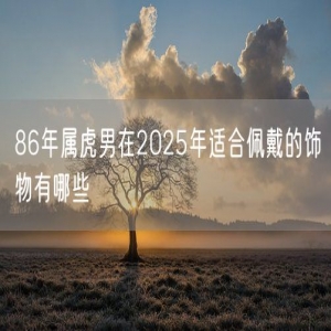 86年属虎男在2025年适合佩戴的饰物有哪些