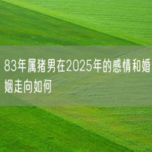83年属猪男在2025年的感情和婚姻走向如何