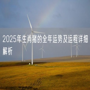 2025年生肖猪的全年运势及运程详细解析