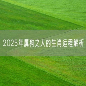2025年属狗之人的生肖运程解析
