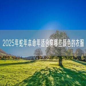 2025年蛇年本命年适合穿哪些颜色的衣服