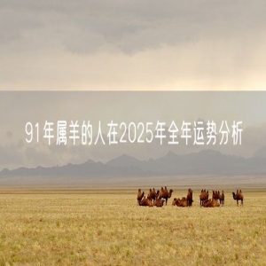 91年属羊的人在2025年全年运势分析
