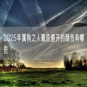 2025年属狗之人最应避开的颜色有哪些