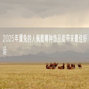 2025年属兔的人佩戴哪种饰品能带来最佳好运