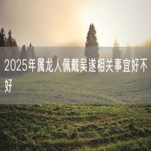 2025年属龙人佩戴吴遂相关事宜好不好