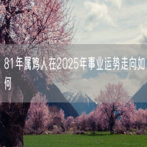 81年属鸡人在2025年事业运势走向如何