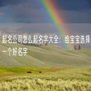 起名公司怎么起名字大全：给宝宝选择一个好名字