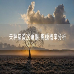 天秤座首次婚姻 离婚概率分析