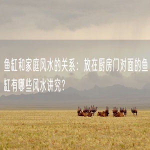 鱼缸和家庭风水的关系：放在厨房门对面的鱼缸有哪些风水讲究？