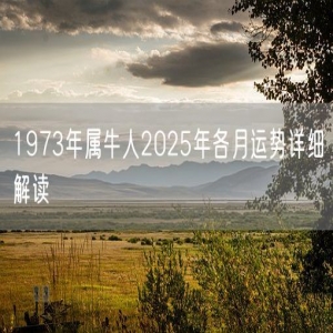 1973年属牛人2025年各月运势详细解读