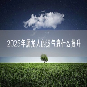 2025年属龙人的运气靠什么提升
