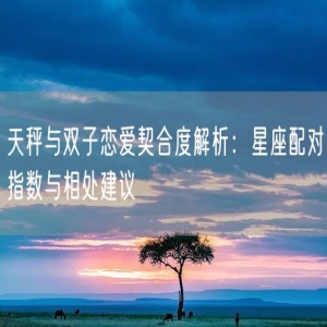 天秤与双子恋爱契合度解析：星座配对指数与相处建议