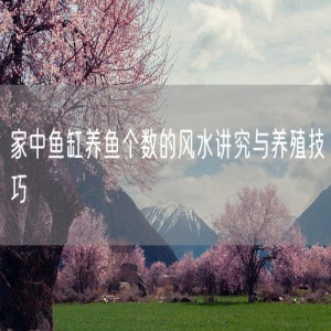 家中鱼缸养鱼个数的风水讲究与养殖技巧