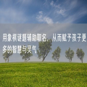 用象棋谜题辅助取名，从而赋予孩子更多的智慧与灵气