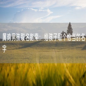 属鸡男孩取名指南：给孩子取个恰当的名字