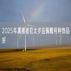 2025年属猪者犯太岁应佩戴何种饰品好